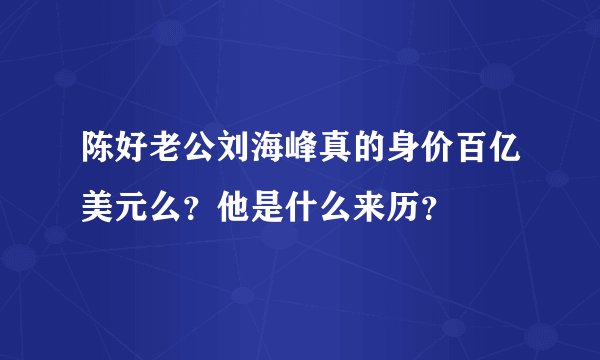 陈好老公刘海峰真的身价百亿美元么？他是什么来历？