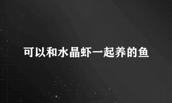 可以和水晶虾一起养的鱼