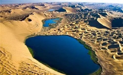 沙漠里遍地都是西瓜，为什么没人敢吃？它是什么东西？