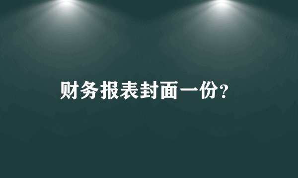 财务报表封面一份？
