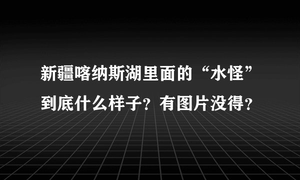 新疆喀纳斯湖里面的“水怪”到底什么样子？有图片没得？