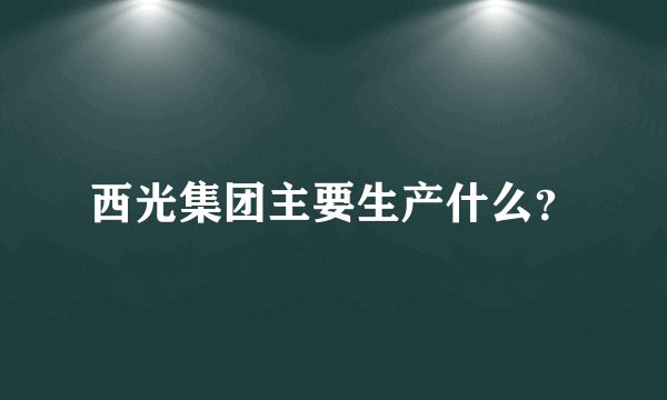 西光集团主要生产什么？