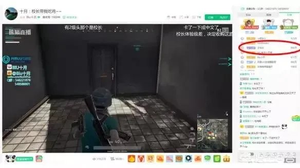 王思聪2亿签约的美女主播，为何又回到了斗鱼？