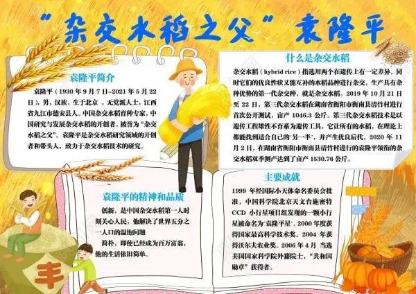 袁隆平手抄报五年级