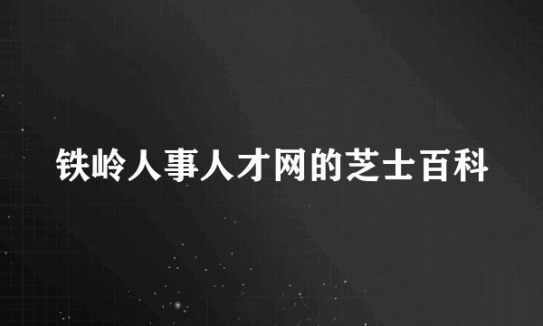 铁岭人事人才网的芝士百科