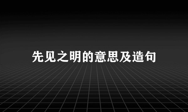 先见之明的意思及造句