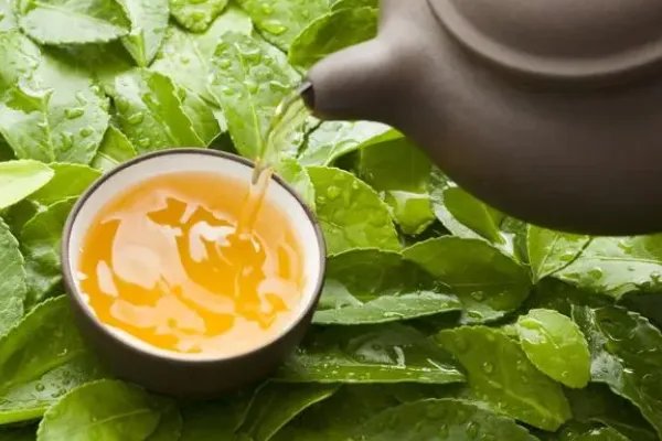 茶的拼音组词部首