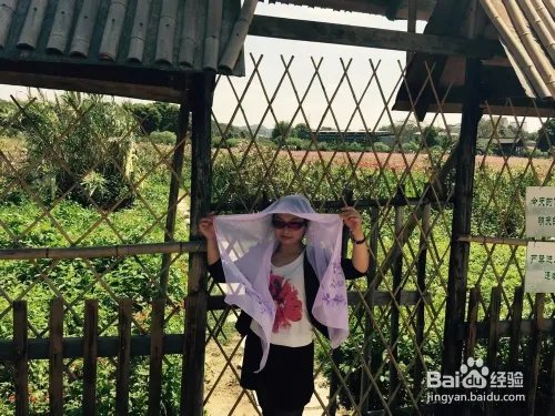 深圳观澜版画村怎么去，好不好玩？