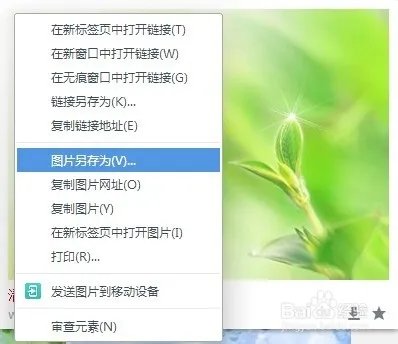 如何保存网页图片