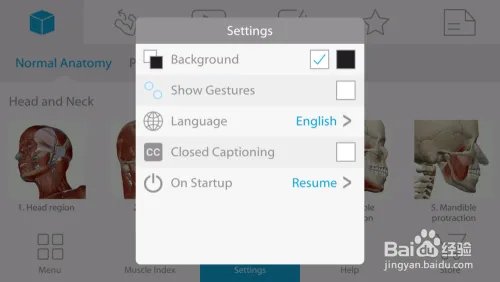 骨骼肌解剖visiblebody muscle中文版安装及设置