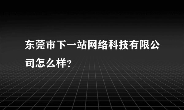 东莞市下一站网络科技有限公司怎么样？