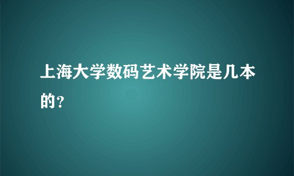 上海大学数码艺术学院是几本的？