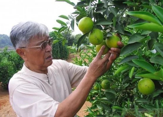 褚时健为传闻辟谣 专门录制视频辟谣造谣者被追究责任
