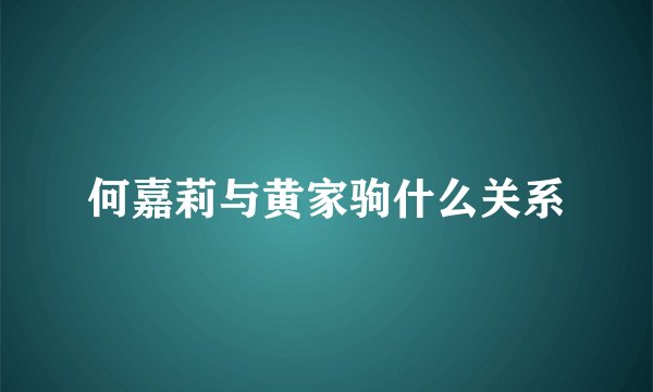何嘉莉与黄家驹什么关系