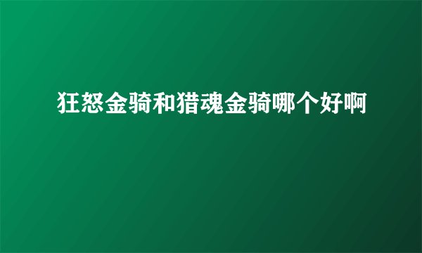 狂怒金骑和猎魂金骑哪个好啊