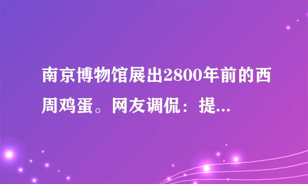 南京博物馆展出2800年前的西周鸡蛋。网友调侃：提取DNA，孵化西周小鸡，看看它与现代鸡有什么不同？……如图所示为鸡的进化关系，下列说法错误的是（　　）A.不同品种的鸡都具有共同的祖先B.原鸡的所有变异都能遗传给后代C.原鸡基因的变异是不定向的D.鸡的进化是自然选择和人工选择的结果