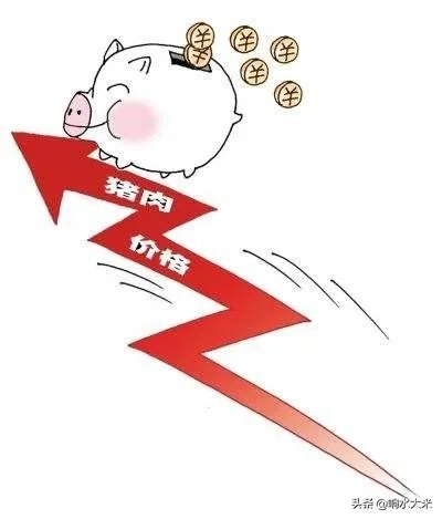 猪价全面暴跌！猪肉降入20元时代，10元猪肉还远吗？