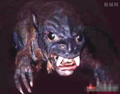 苏联残忍的人兽杂交实验 揭秘恐怖的兽面人身怪物