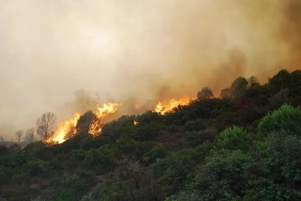 凉山为什么容易起火