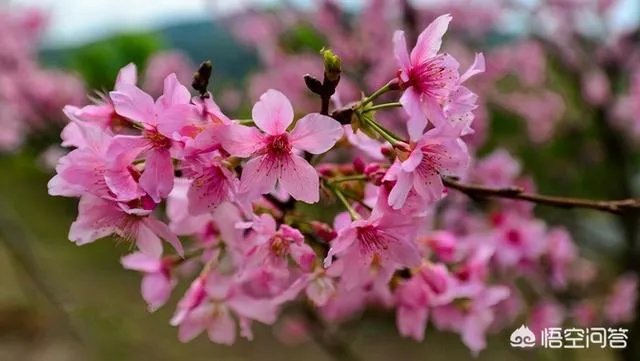 翁源有什么风景区吗？