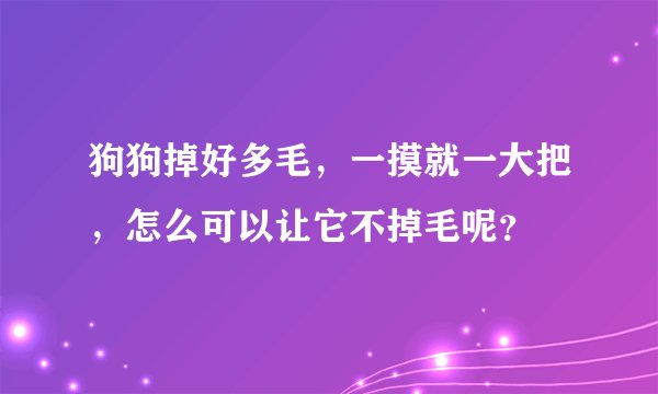 狗狗掉好多毛，一摸就一大把，怎么可以让它不掉毛呢？
