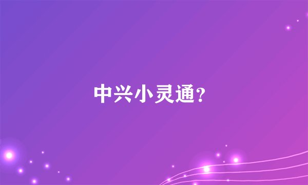 中兴小灵通？