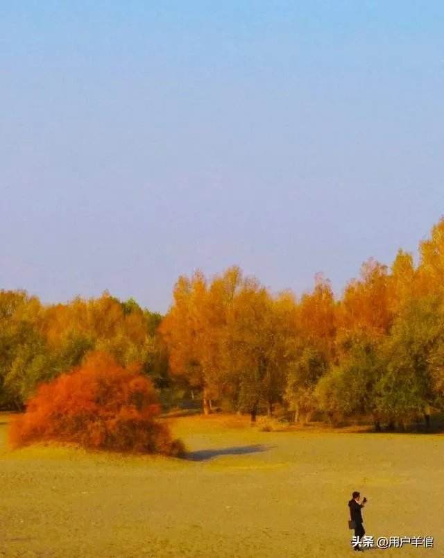 一个人连续开车500公里以上是一种怎样的体验？