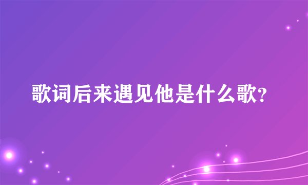歌词后来遇见他是什么歌？