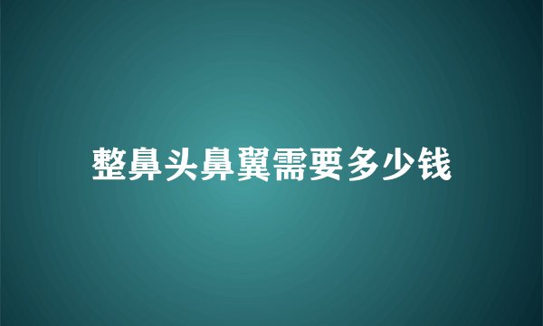 整鼻头鼻翼需要多少钱