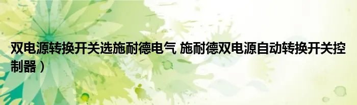 双电源转换开关选施耐德电气 施耐德双电源自动转换开关控制器）