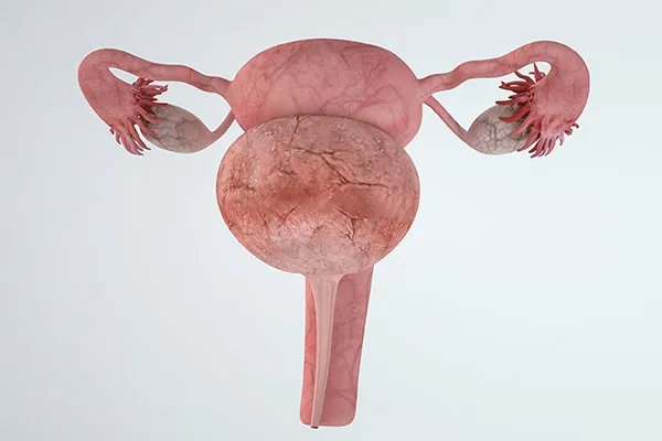 卵巢保养吃什么最好