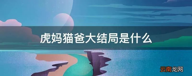 虎妈猫爸大结局是什么