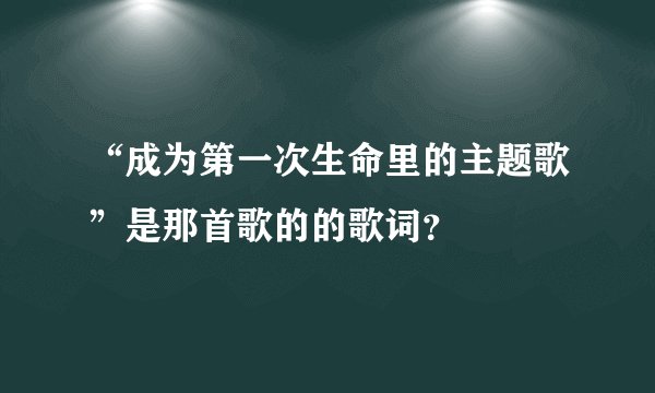 “成为第一次生命里的主题歌”是那首歌的的歌词？