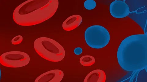 血沉检查怎么检查