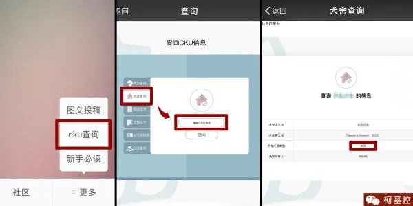 养柯基是怎样一种体验？