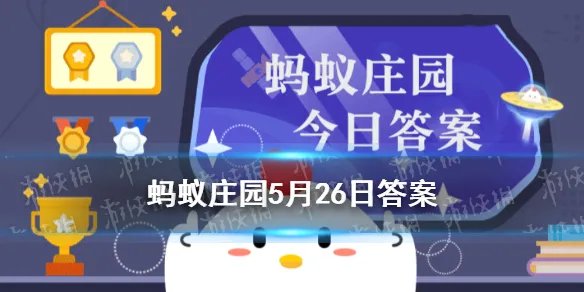 经常吃汤泡饭蚂蚁庄园 庄园小课堂今日答案5.26