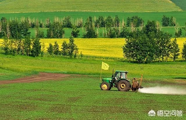 你们认为粮食价格管控会放开吗?为什么?