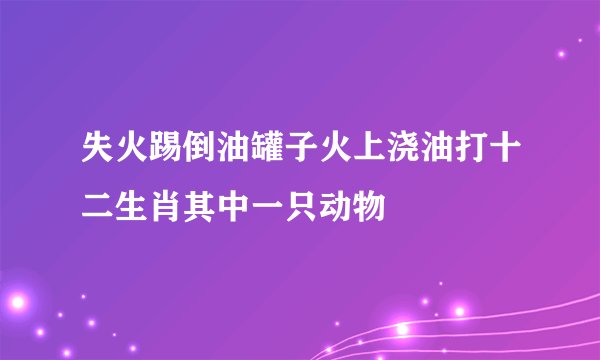 失火踢倒油罐子火上浇油打十二生肖其中一只动物