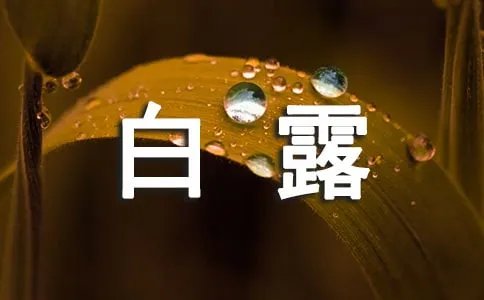 白露节气美好诗句