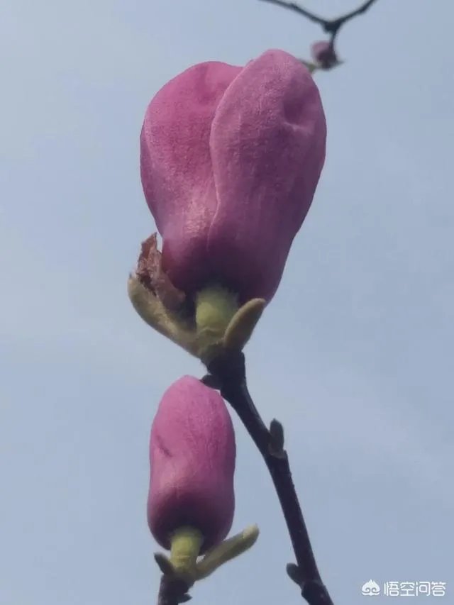 哪些人可以提前退休？