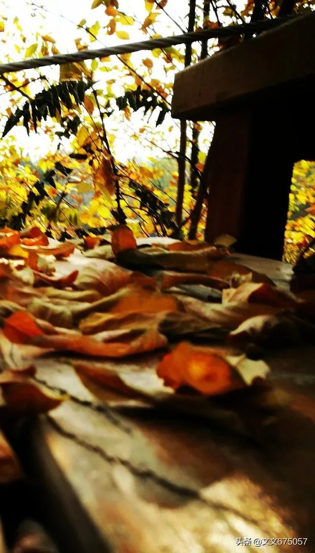 您觉得影视演员刘晓庆真的是不老女神吗？