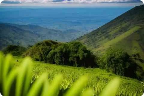 孙思邈简介 孙思邈千金方主要内容概述