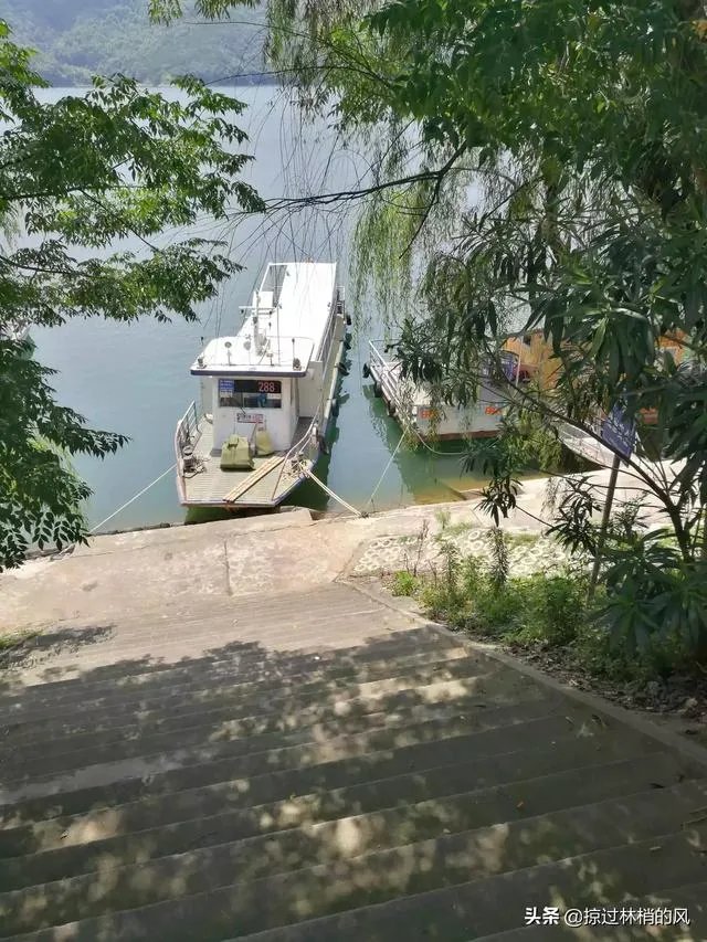 喜欢野钓，发现好多河边都写着禁止钓鱼，有时候硬着头皮去钓，这种行为是不是很low？