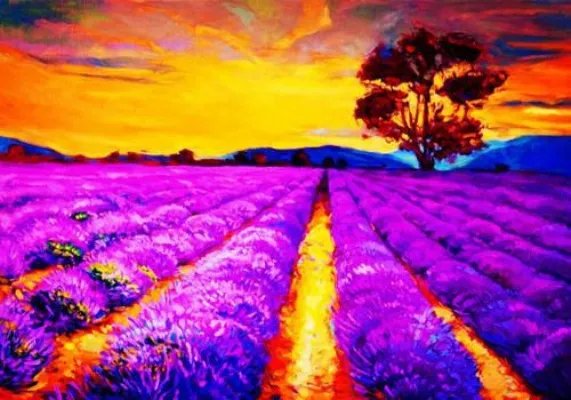 白璃安慕辰许凉城秦沫沫小说 无休无止地争吵下去无删减阅读