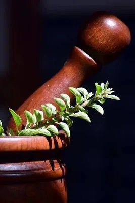 类风湿性关节炎用什么中药疗效好