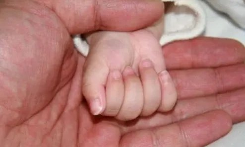 birth是什么意思