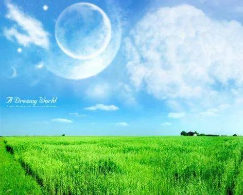 新的组词有哪些？全部给我报上来。