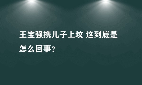 王宝强携儿子上坟 这到底是怎么回事？