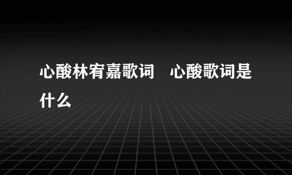 心酸林宥嘉歌词   心酸歌词是什么