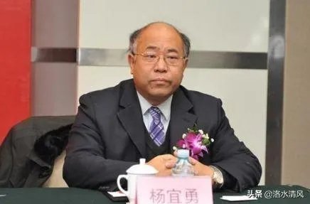 杨宜勇在黑人永居中国的事件中扮演什么样的角色？